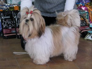 img-4793.jpg
