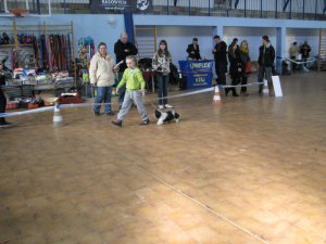 img-4831.jpg